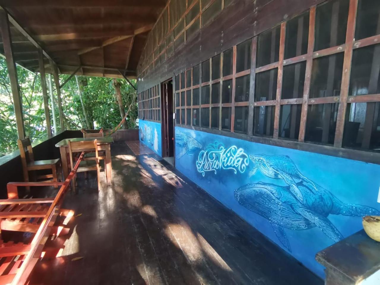 Pirate Drake Beach Hostel & Tour Company Drakes Bay 외부 사진