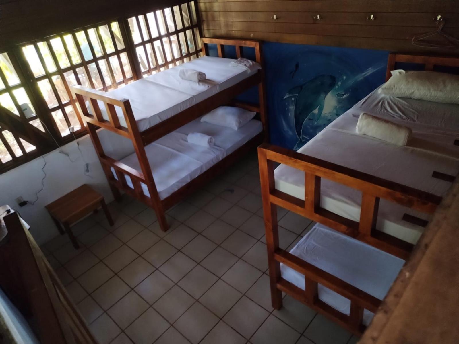 Pirate Drake Beach Hostel & Tour Company Drakes Bay 외부 사진