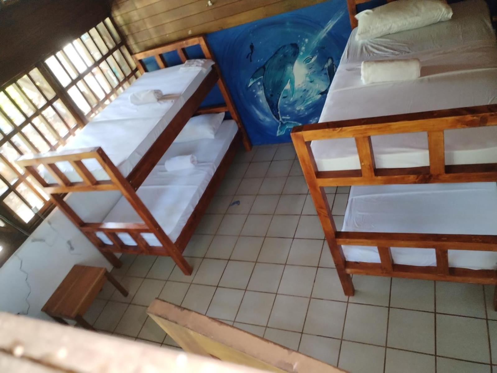 Pirate Drake Beach Hostel & Tour Company Drakes Bay 외부 사진