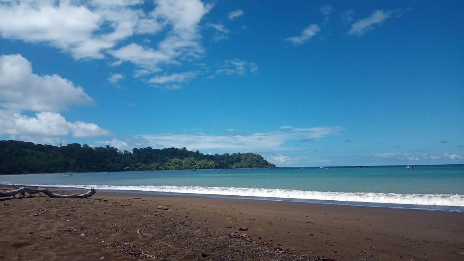 Pirate Drake Beach Hostel & Tour Company Drakes Bay 외부 사진
